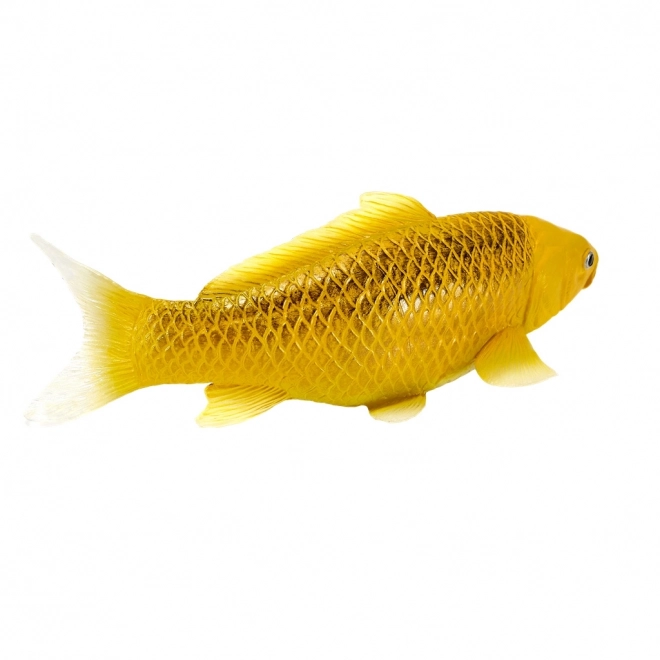 Mojo karpe koi Matsuba