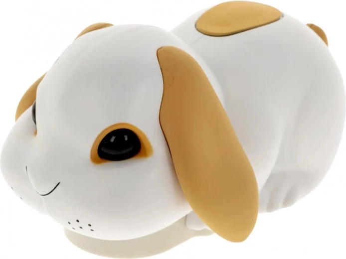 En rastløs kanin, der sætter gang i festen