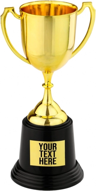 Trofæ pokal 22 cm