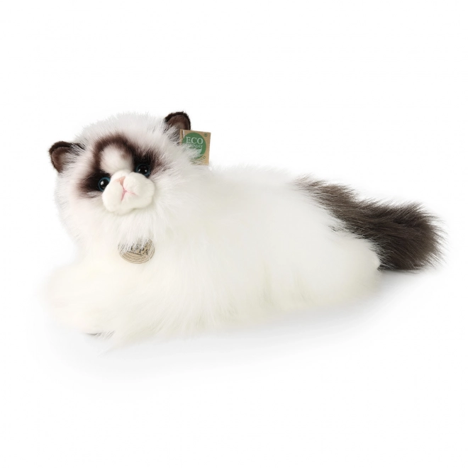 Plysbamsekat Ragdoll 35 cm økologisk