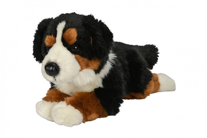 Blød Berner Sennenhund 40 cm