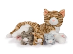 Plysæt Kattunger med mor Cozy Noxxiez