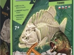 Clementoni Science & Play ArcheoFun: piratfisk, der lyser i mørket