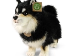 Plys hund Lapinkoira 33 cm miljøvenlig