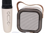 Karaokesæt med trådløs mikrofon og bærbar Bluetooth-højttaler med RGB