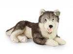 Plys hund husky liggende 60 cm ECO‑FRIENDLY fra RAPPA