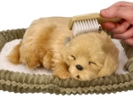 Adoptér en åndende golden retriever-hvalp
