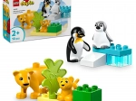 LEGO DUPLO familier af vilde dyr: pingviner og løver