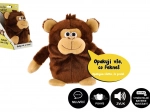 Plysbamse Abe Tonicka gentager sætninger 18 cm med lyd