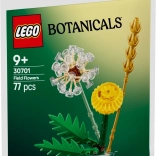 Lego Botanicals – vilde blomster