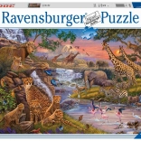 Ravensburger puslespil Animal Kingdom 3000 brikker