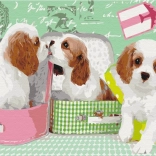 Paint it! Maleri efter tal: Søde hundehvalpe