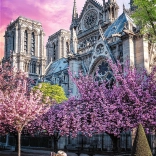 TREFL puslespil Premium Plus Photo Odyssey – Notre‑Dame-katedralen i Paris (1000 brikker)