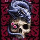 TREFL premium plus puslespil – orientalsk drage (1000 brikker)