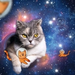 Puslespil Kat i rummet 1500 brikker