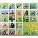 Pexeso ZOO Dyrefotografier