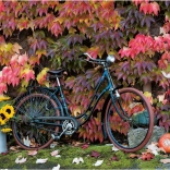 Puslespil Efterårets magi 1000 brikker PIATNIK