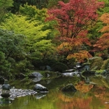 Puslespil 1000 brikker – Zen-refleksion panorama