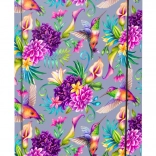 Mapper til A4-skolehæfter Kolibri BAAGL