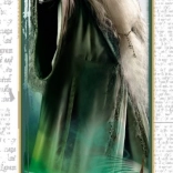 Puslespil Harry Potter Dumbledore 300 brikker