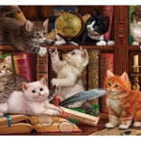 Puslespil Katte i biblioteket 500 brikker