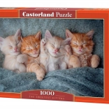 Puslespil 1000 brikker Søde katte