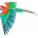 metal earth 3D-puslespil papegøje ICONX – metalmodel til samling