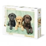 1000-brikke Puslespil Tre Labradors