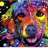 Diamantmaling Abstrakt hund 30 × 40 cm