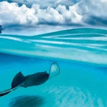 Panoramapuslespil Rokke - Caymanøerne 1000 brikker