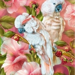 CHERRY PAZZI puslespil kakadue – tropernes ånder, 1000 brikker