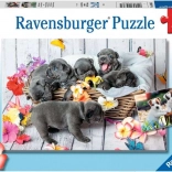 Ravensburger puslespil Søde hvalpe 2×12 brikker