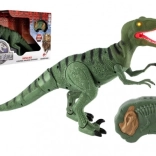 Gående dinosaur Velociraptor med fjernbetjening