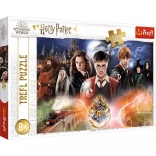 Puslespil HARRY POTTER – 300 brikker