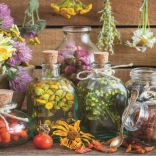 ANATOLIAN Puslespil Urte-terapi 500 brikker