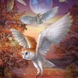 Puslespil Natteugler 1000 brikker ART PUZZLE