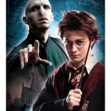 Puslespil 500 brikker HARRY POTTER