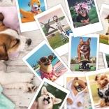 Puslespil 300 brikker - Feriebilleder