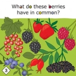 Yummy! lærerig spil om sund kost for børn fra 3 år