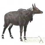 Nilgai figur COLLECTA