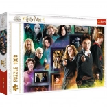 Puslespil HARRY POTTER 1000 brikker – den magiske verden