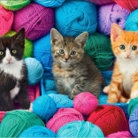 Puslespil 1000 brikker Katte i garnnøgler