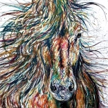 Puslespil ANATOLIAN Vind 500 brikker