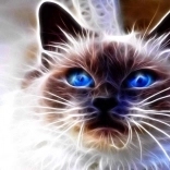 Diamantmaleri Kattemagi 30 × 40 cm