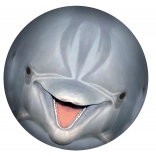 Undervandsbold SPORTO – delfin til pool og have