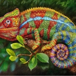 Cherry Pazzi Puzzle Chameleon 1000 brikker