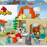 LEGO DUPLO pasning af dyr på gården