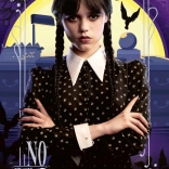 Puslespil 300 brikker Onsdag