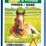 Kvartet – Heste i plastæske