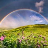 Puslespil 1500 brikker Regnbue over engen